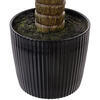 Vickerman Green Nolina Plant in Pot - view 4 of 5