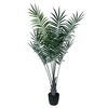 80" Areca Palm in Plastic Pot UV - view 1 of 3