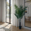 80" Areca Palm in Plastic Pot UV - view 2 of 3