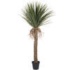 Vickerman Yucca Tree in Plastic Pot - view 1 of 5