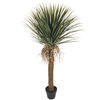 Vickerman Yucca Tree in Plastic Pot - view 5 of 5