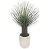 48" Green Nolina Palm Potted FT UV - view 5 of 5