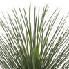 48" Green Nolina Palm Potted FT UV - view 3 of 5