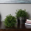 8" Mini Bamboo Leaf Ball - view 2 of 3