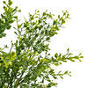 Vickerman Artificial Green UV Coated Boxwood Bush - view 2 of 4