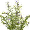 Vickerman Artificial UV Coated Bush with Purple Flowers - view 2 of 4