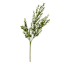 Eucalyptus / 4 per pack