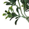 19" White Small Rambling Bush UV - view 5 of 7
