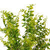 Vickerman Artificial UV Coated Green Royal Fern Bush - view 2 of 4