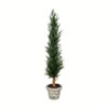 Vickerman Artificial Potted Cedar Tree Full - view 1 of 3