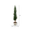 Vickerman Artificial Potted Cedar Tree Full - view 3 of 3
