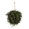 Vickerman Artificial Green Angel Vine Kissing Ball - view 1 of 5