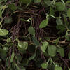 Vickerman Artificial Green Angel Vine Kissing Ball - view 3 of 5