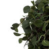 Vickerman Artificial Green Angel Vine Kissing Ball - view 4 of 5