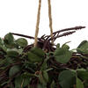 Vickerman Artificial Green Angel Vine Kissing Ball - view 2 of 5