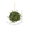 Vickerman Artificial Green Angel Vine Kissing Ball - view 5 of 5