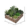 8" Potted Garden Grass - view 2 of 2