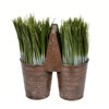 10" Potted Grass - view 1 of 2