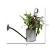 16.5" Potted Herb Plant - view 2 of 2