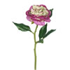 Vickerman Artificial Peony Rose Stem - view 1 of 4