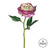 Vickerman Artificial Peony Rose Stem - view 4 of 4
