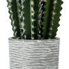 Vickerman Artificial Green Cactus Plant - view 2 of 5