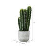 Vickerman Artificial Green Cactus Plant - view 5 of 5