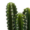Vickerman Artificial Green Cactus Plant - view 3 of 5