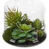 10" Green Asst Succulents in Glass Jar - view 2 of 6