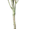 Vickerman Artificial Green Olive Tree in Pot - view 5 of 6