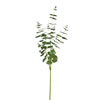 Vickerman Artificial Money Leaf Spray - view 1 of 2