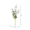 Vickerman Artificial Money Leaf Spray - view 2 of 2