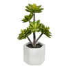Vickerman Artificial Succulent Arrangement - view 1 of 3