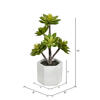 Vickerman Artificial Succulent Arrangement - view 3 of 3