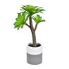 15" Green Potted Succulent - view 1 of 3