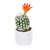 9" Green Potted Cactus 2/Pk - view 1 of 3