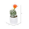 9" Green Potted Cactus 2/Pk - view 2 of 3
