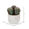 9" Green Potted Cactus - view 1 of 2