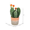 Vickerman Artificial Green Cactus in Clay Pot - view 3 of 3