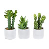 7" Green Potted Cactus Set of 3 Asst - view 1 of 3
