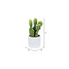 7" Green Potted Cactus Set of 3 Asst - view 3 of 3