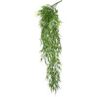 Bamboo Bushes