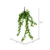 Vickerman Artificial Ivy Hanging Bush, 3/pk - view 5 of 5