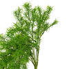 Vickerman Artificial Spring Grass Hanging Bush, 2/pk - view 3 of 5