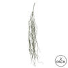 Vickerman 37" Artificial Trailing Succulent - view 3 of 3