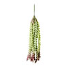 22" Green Seatangle Plant 2/pk - view 1 of 3