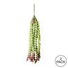 22" Green Seatangle Plant 2/pk - view 3 of 3