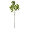 31.5" Purple/Green Staghorn Fern 2/pk - view 1 of 5