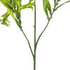 31.5" Purple/Green Staghorn Fern 2/pk - view 3 of 5