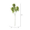 31.5" Purple/Green Staghorn Fern 2/pk - view 5 of 5